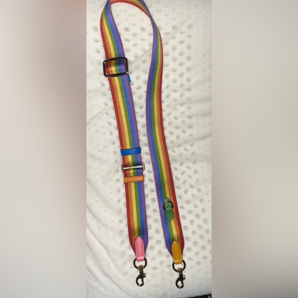 Coach Pride Strap - image 1